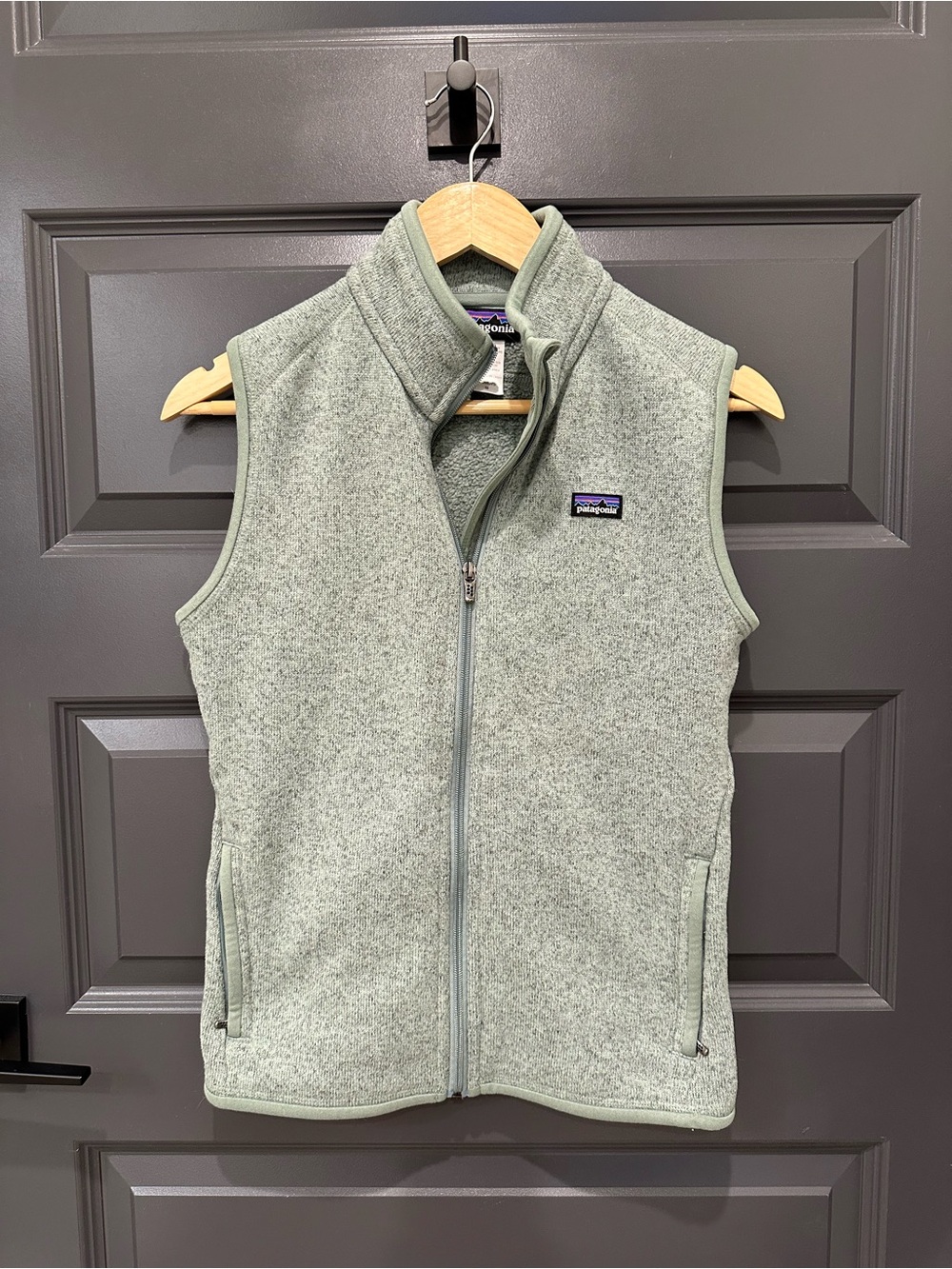 Patagonia Light Sage Heather Fleece Vest